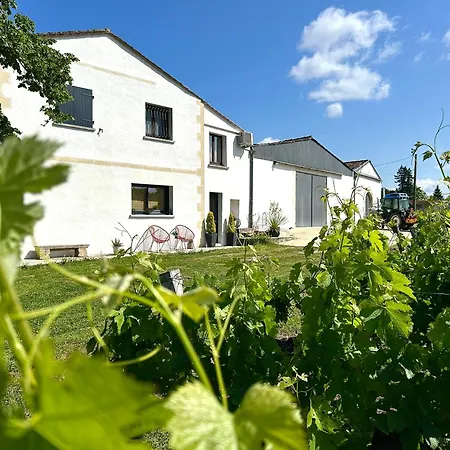 Couette-café D'hotes~chateau Austerlitz Libourne