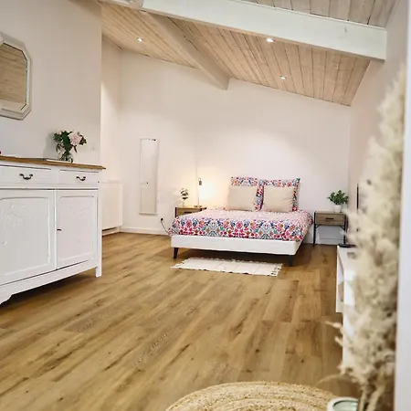 לינה וארוחת בוקר D'hotes~chateau Austerlitz 3*